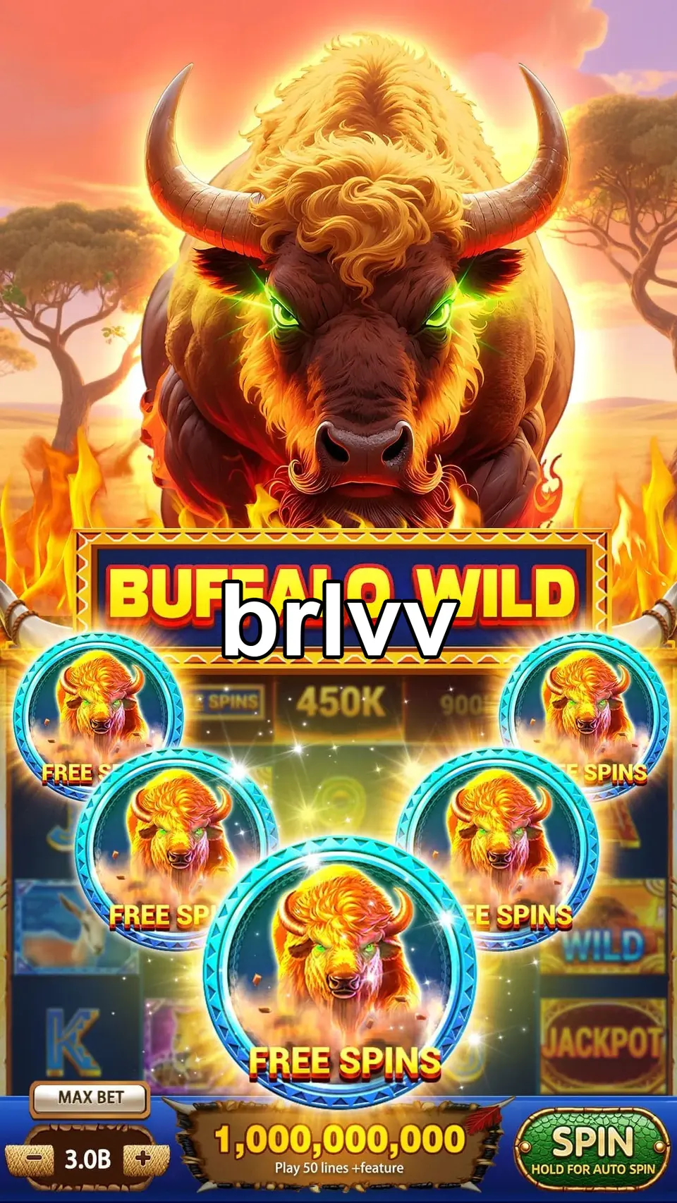 brlvv Login